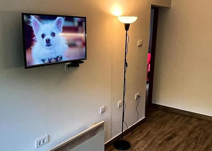 Kosmajski Raj 펜션